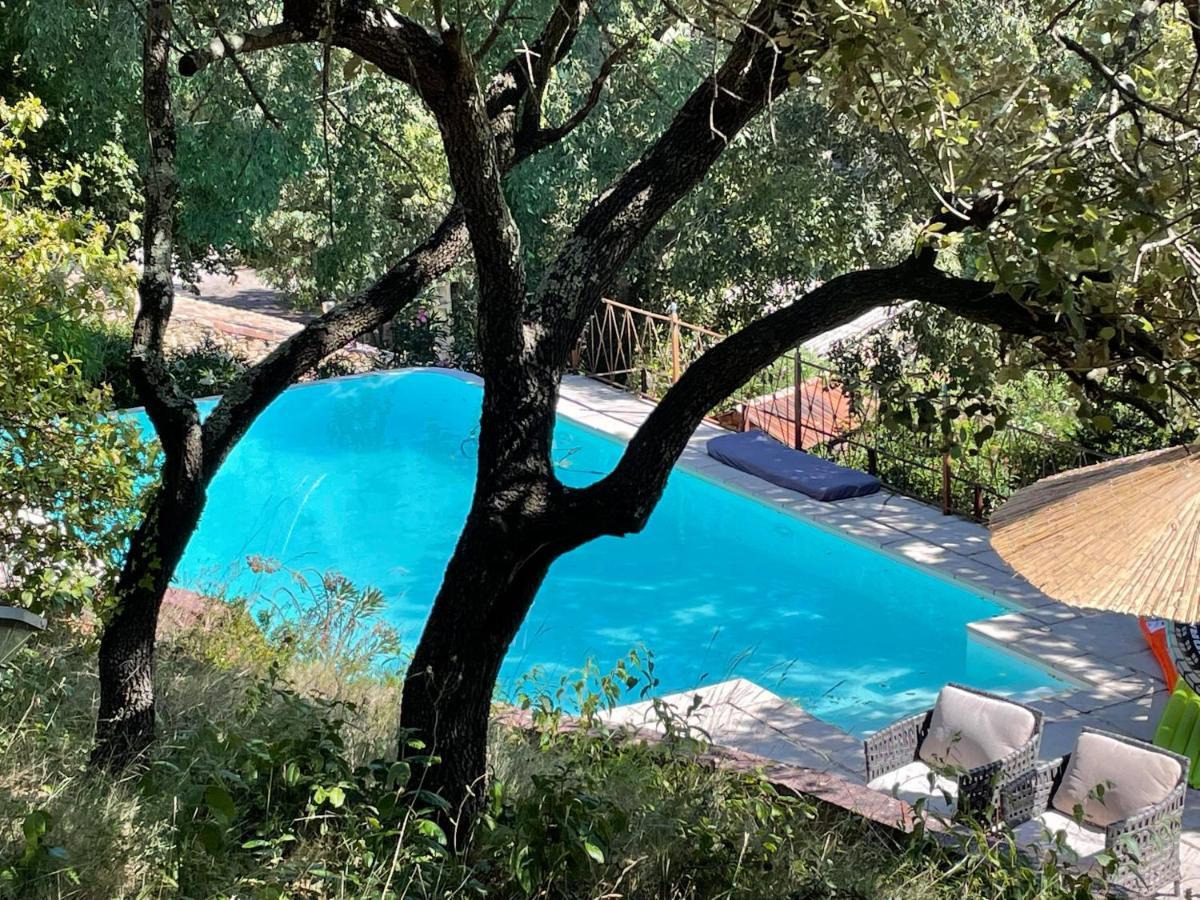 Willa Jolie Annexe Du Mas Dans Le Coeur De La Garrigue Nimoise Nîmes Zewnętrze zdjęcie